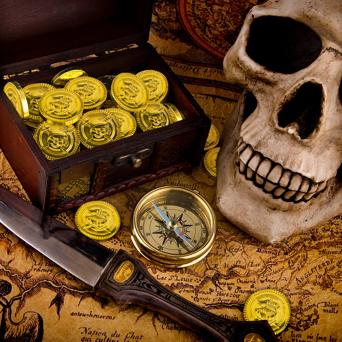 20/40pcs Pirate Coins Plastic  – обзор и цена Token Coin Mechanism